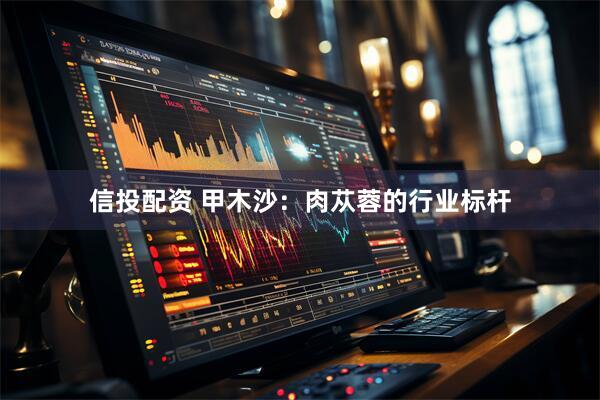 信投配资 甲木沙：肉苁蓉的行业标杆