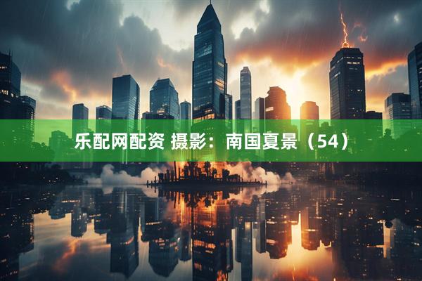 乐配网配资 摄影：南国夏景（54）
