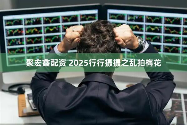 聚宏鑫配资 2025行行摄摄之乱拍梅花