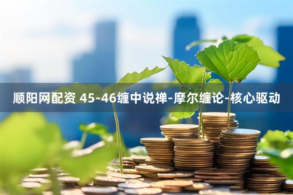 顺阳网配资 45-46缠中说禅-摩尔缠论-核心驱动